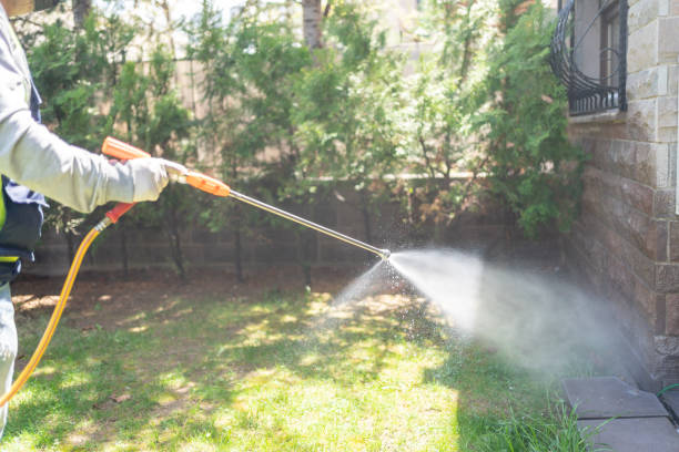 Best Best Pest Control Companies  in Delavan, WI
