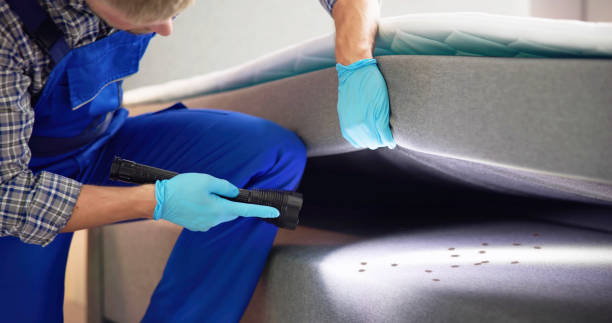 Trusted Delavan, WI Pest Control Experts