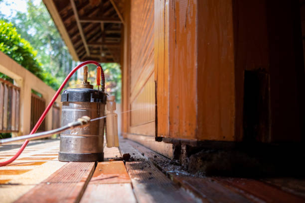 Best Best Pest Control Companies  in Delavan, WI
