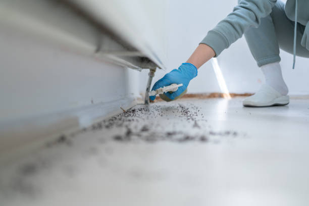 Best Residential Pest Control  in Delavan, WI